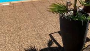 En klarblå pool med utsikt över havet, omgiven av ett staket och en palm.