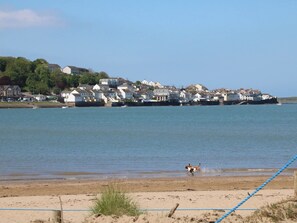 Beach - Ladybird Rest (Bideford)