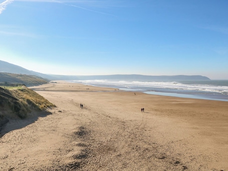 Beach. Bumblebee Meadows