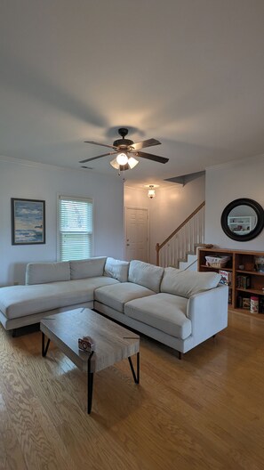 Smart TV, fireplace, books