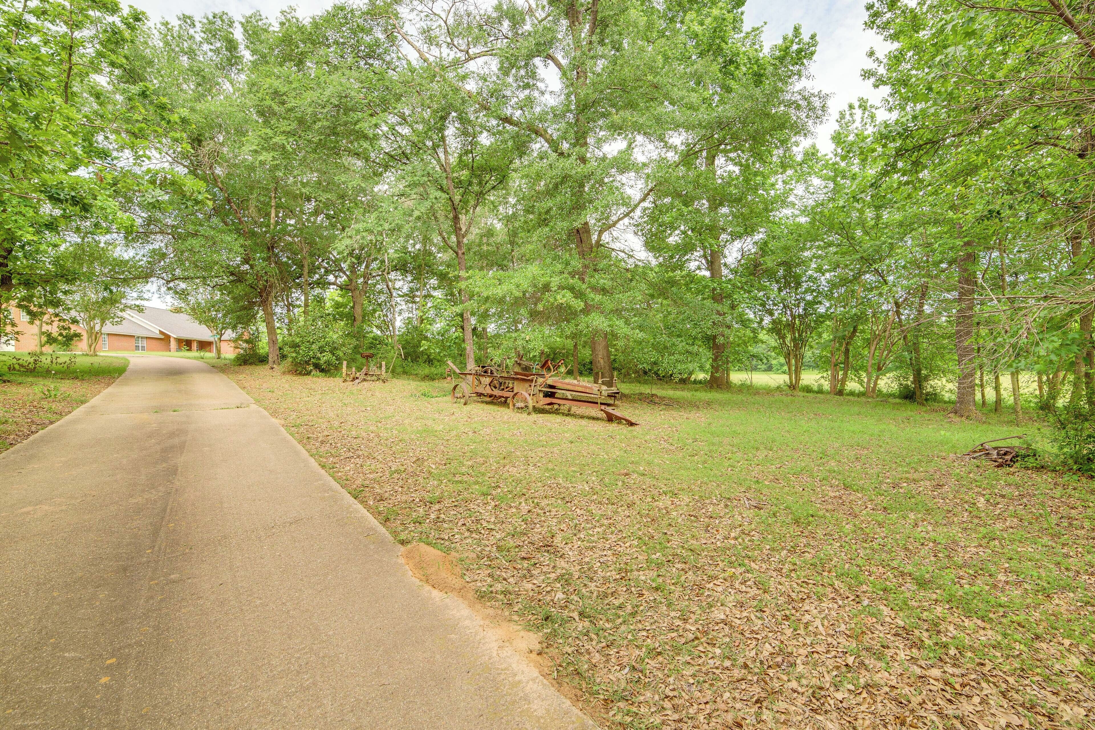 A paved pathway leading through a park with trees and a wooden structure in the distance.