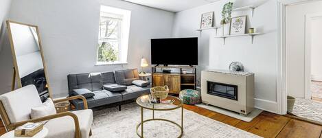 Televisión, chimenea, libros