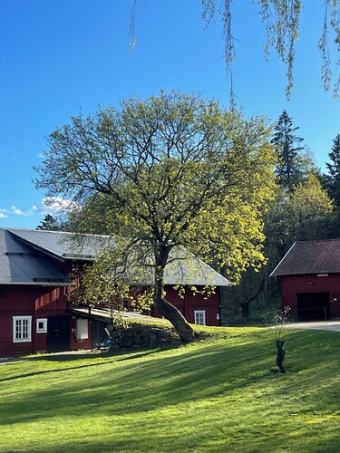 Charming cottage on horse farm with lake and sauna