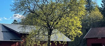 Charming cottage on horse farm with lake and sauna