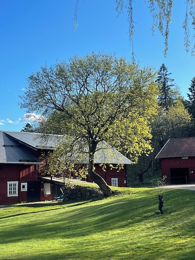 Charming cottage on horse farm with lake and sauna