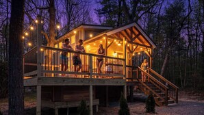 Une cabane en bois dotée d’une terrasse, entourée d’arbres, et agrémentée d’un escalier et de guirlandes lumineuses.