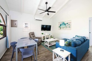 Fernseher, Arbeitsbereiche