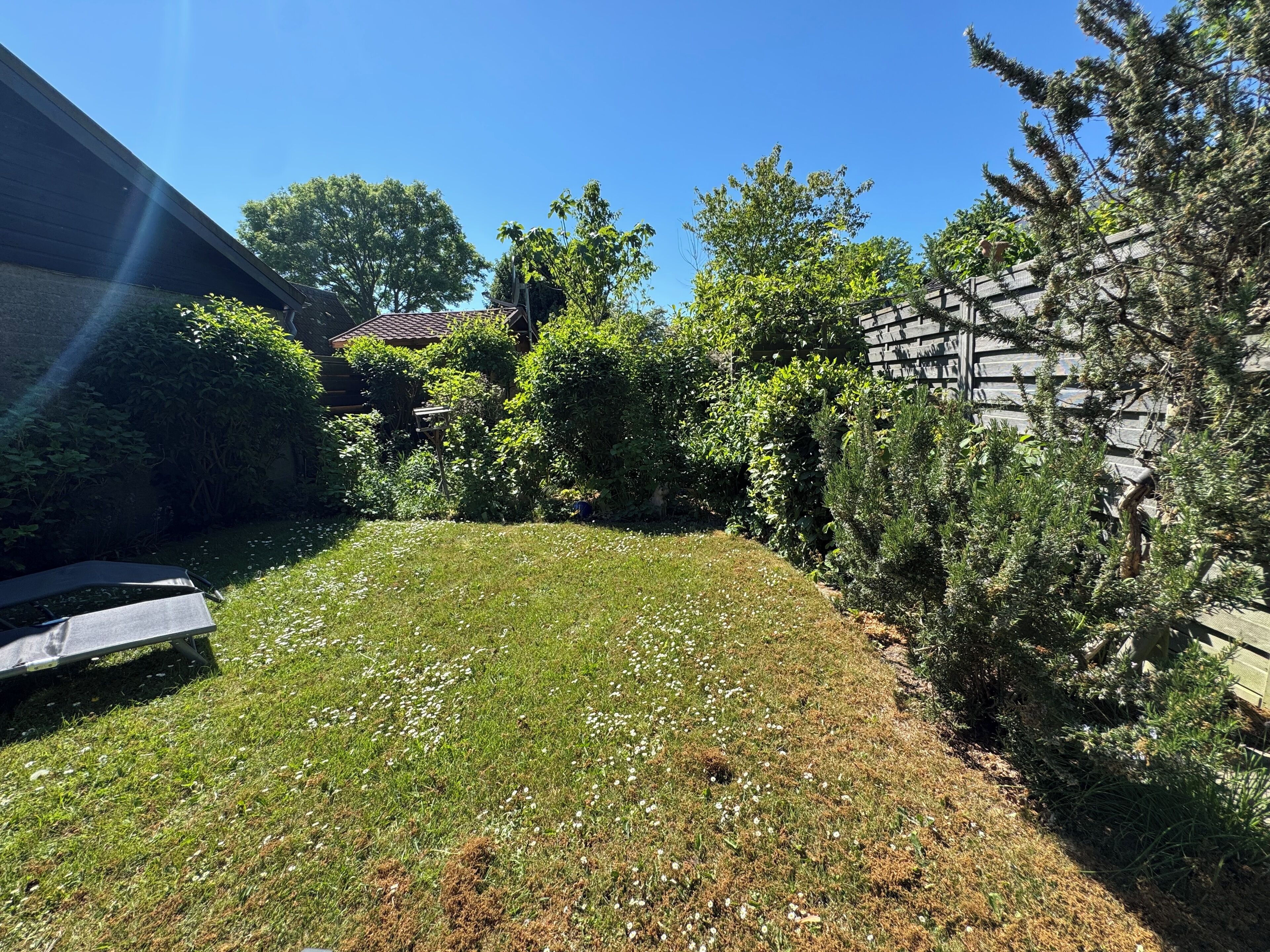 Ein Garten mit Rasen, Bäumen und einem Holzzaun.