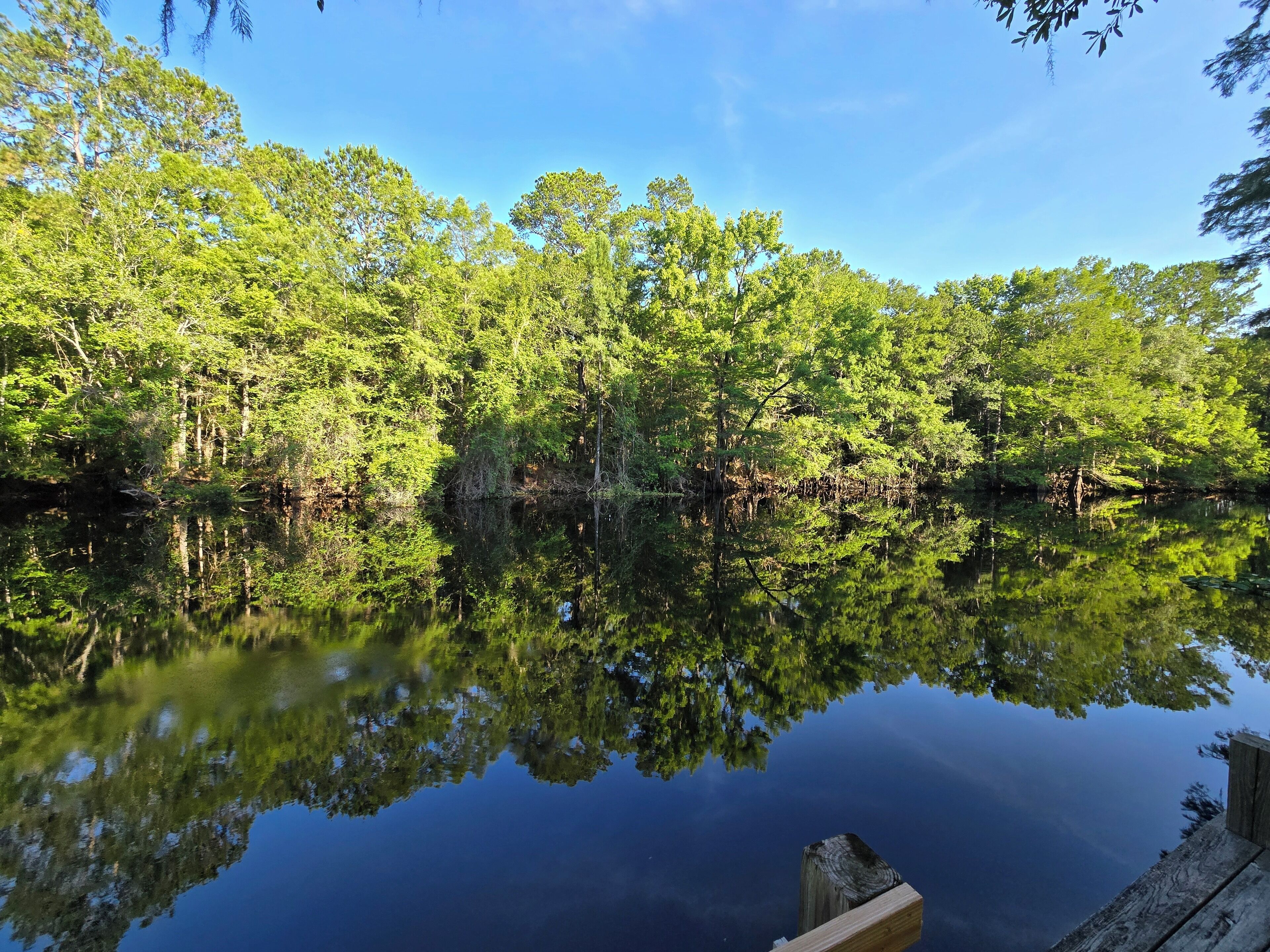 A calm lake surrounded by dense green trees reflecting in the water.