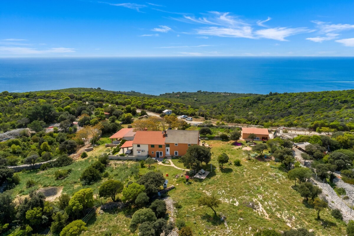 A coastal property with a main building and a secondary structure, surrounded by lush greenery and a view of the sea.