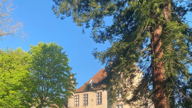Un edificio histórico con tejado rojo, rodeado de vegetación exuberante y altos árboles.