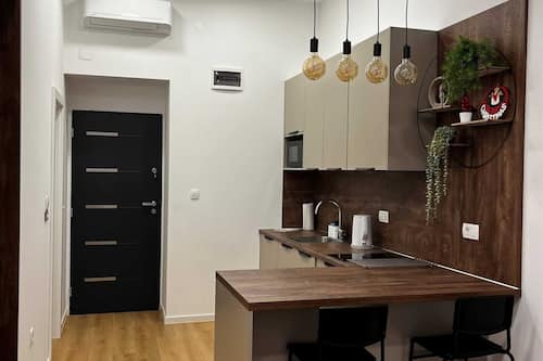 Studio (Downtown Apartment - Studio Apartment) | Privékeuken | Een koelkast