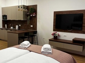 Studio (Downtown Apartment - Studio Apartment)