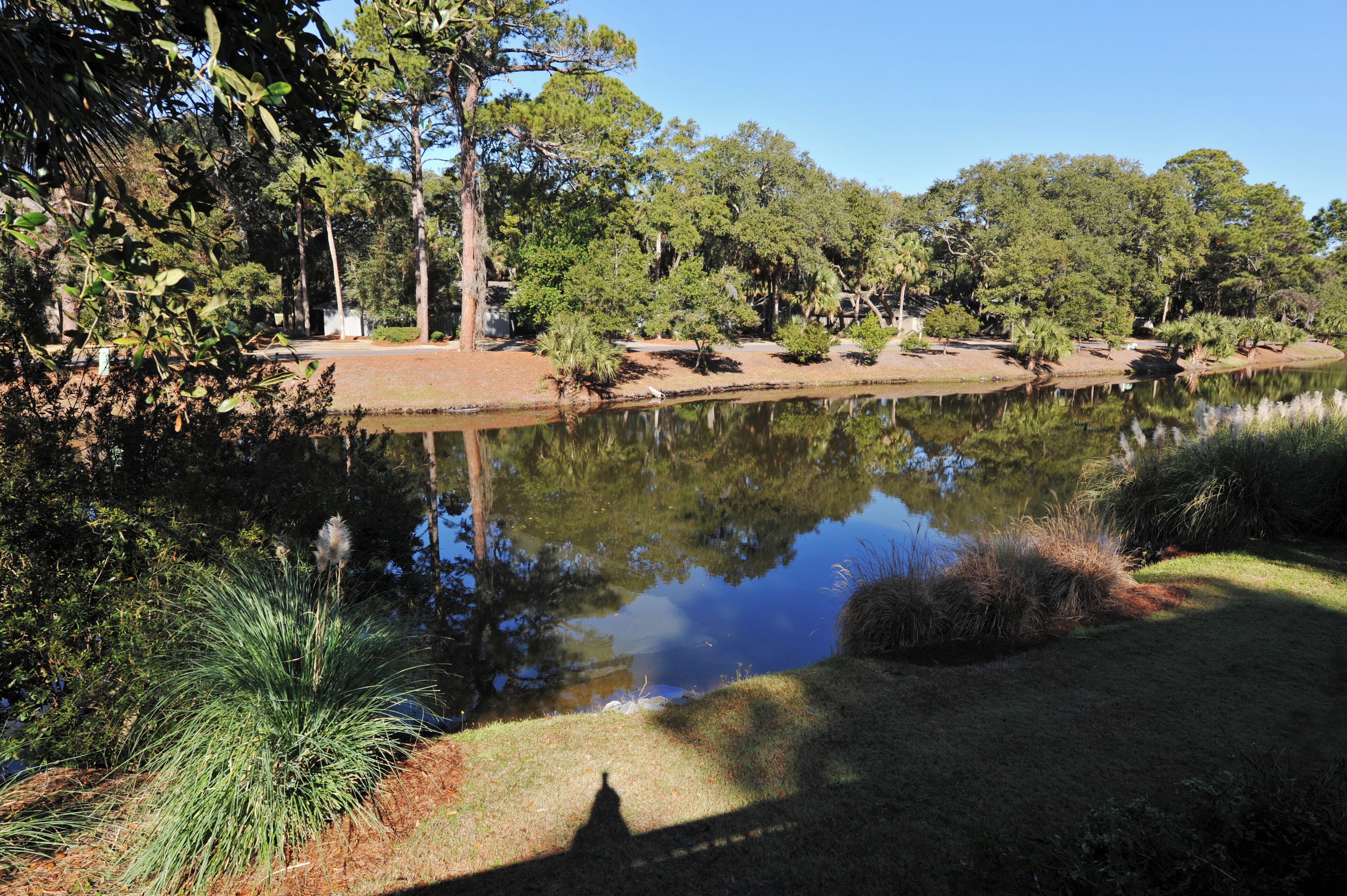A serene pond surrounded by trees and grassy areas.