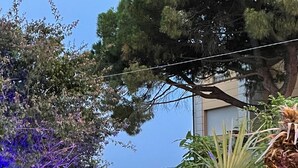 A garden with tropical plants and a view of a cityscape. - Vip garden and jacuzzi seaview in the hearth of downtown (La Spezia)