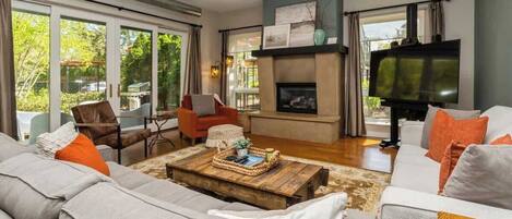 Smart TV, fireplace, books