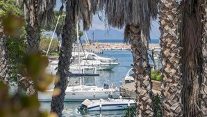 A marina with boats docked, surrounded by palm trees. - Portorosa Beach Resort (Tonnarella)