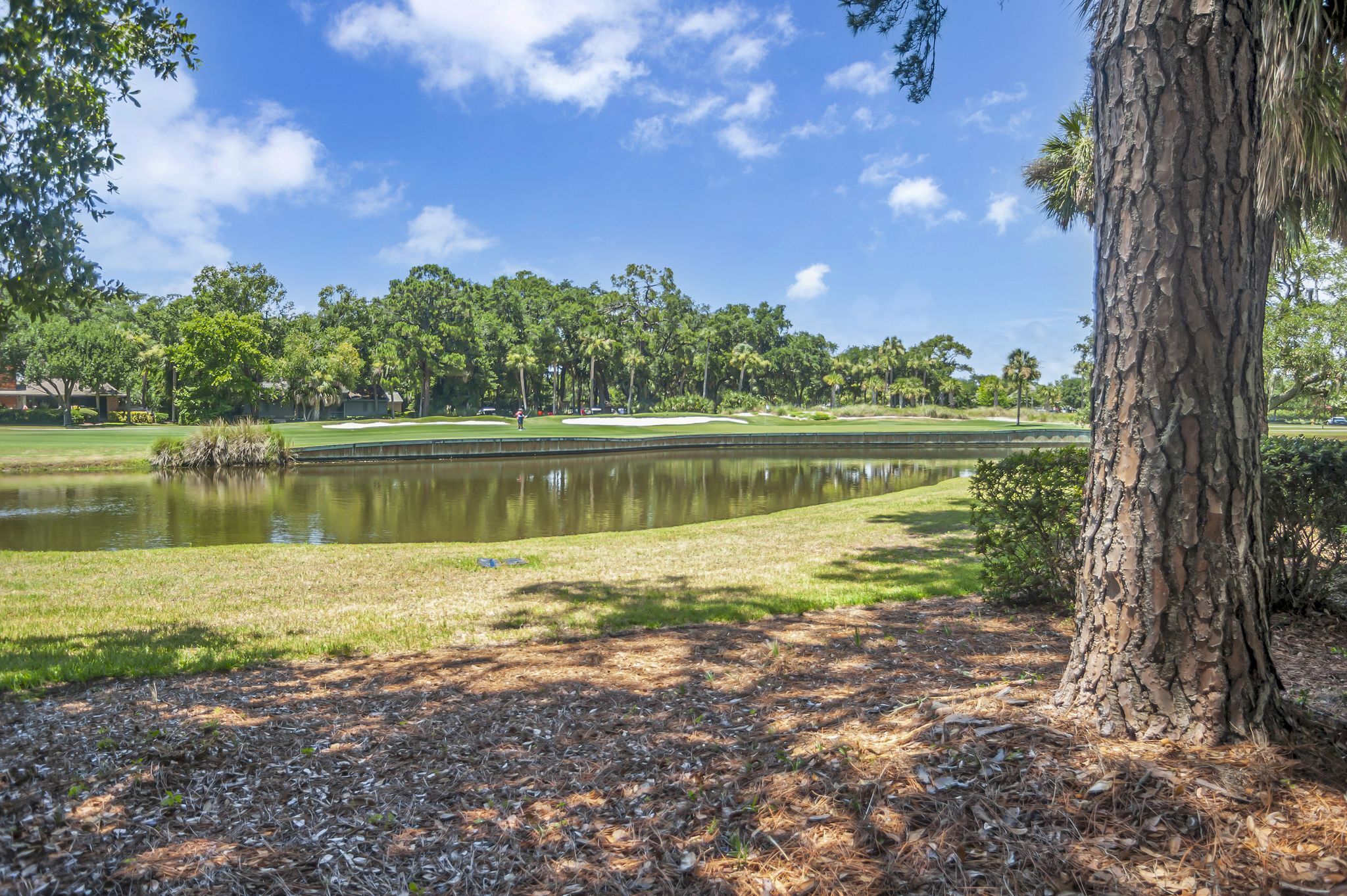 A serene golf course with a pond, surrounded by trees and a clear sky.