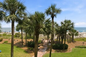 Un sendero que lleva a una zona de playa con palmeras y vista al océano.