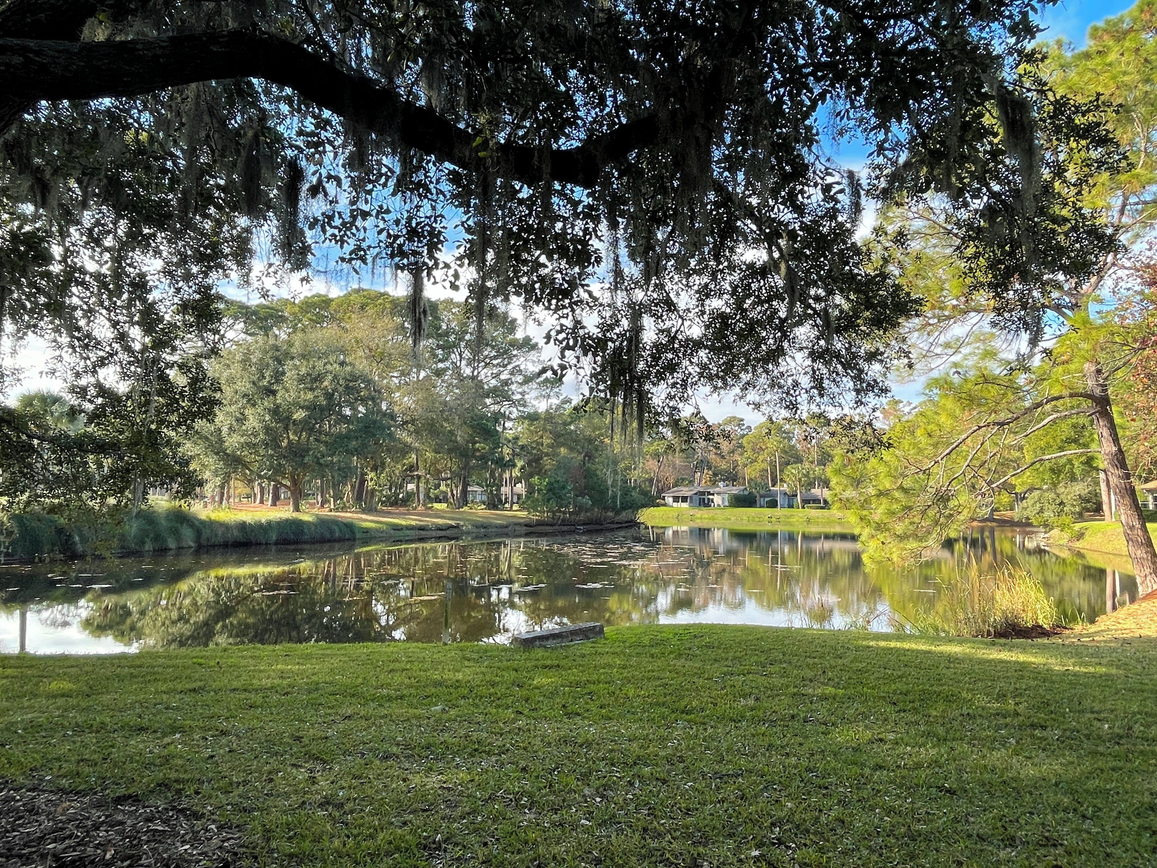Un parc paisible avec un étang, des arbres et une pelouse.