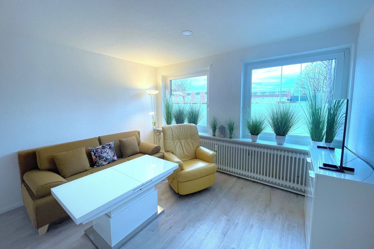 Una sala moderna con sofá, sillón y mesa de centro. Hay plantas en macetas en un alféizar y un radiador debajo de las ventanas.