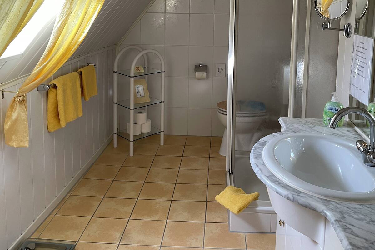 Un baño con ducha, inodoro y lavamanos.