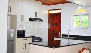 Apartamento ejecutivo | Cocina privada | Microondas, horno, placa de cocina y utensilios de cocina