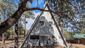 A triangular wooden cabin with a deck, surrounded by trees.