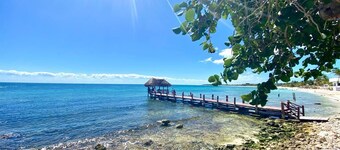 Oceanview Stay Walk to Beach & Snorkel