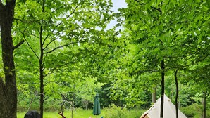 A hammock between trees, a picnic table, and a tent in a forest. - Small family & pet friendly campground. Easy access to many public beaches. (Hartington)