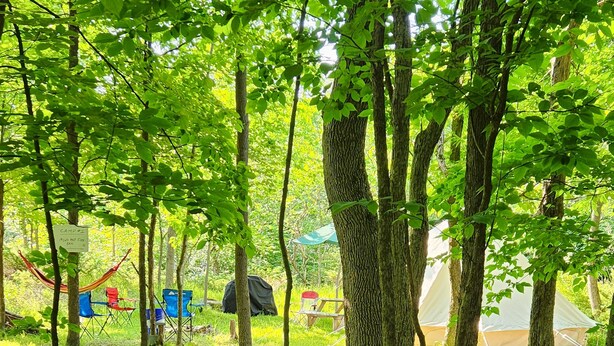 A campsite with tents, a hammock, and camping chairs. - Small family & pet friendly campground. Easy access to many public beaches. (Hartington)