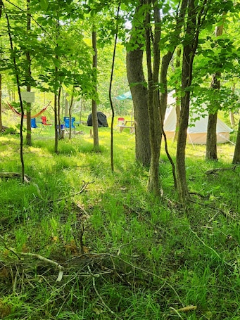 Property grounds. Small family & pet friendly campground. Easy access to many public beaches.