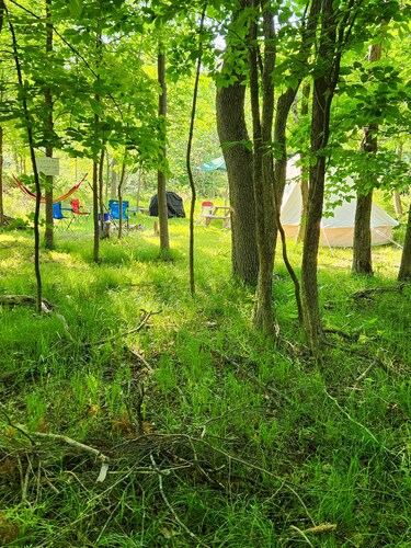 Small family & pet friendly campground. Easy access to many public beaches.