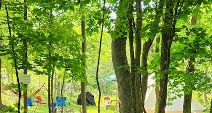 Small family & pet friendly campground. Easy access to many public beaches.
