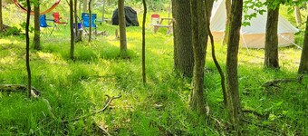 Small family & pet friendly campground. Easy access to many public beaches.