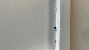 Ein Detailaufnahme einer weißen Wand mit sichtbaren Beschädigungen und Gebrauchsspuren an einer Ecke.