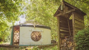A yurt with a circular window and a small wooden structure nearby. - Brandon House Farm Yurt (Norwich)