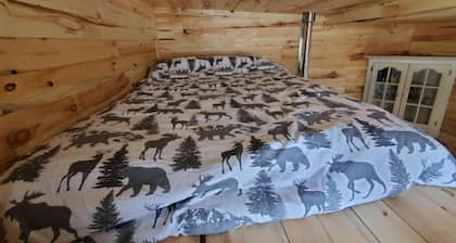 Bright and Cozy Tiny Pine House