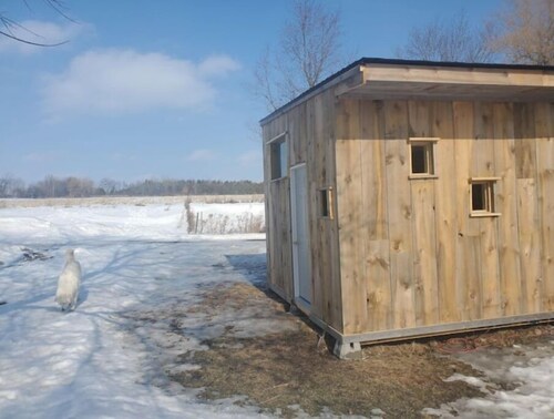 Bright and Cozy Tiny Pine House