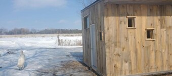 Bright and Cozy Tiny Pine House