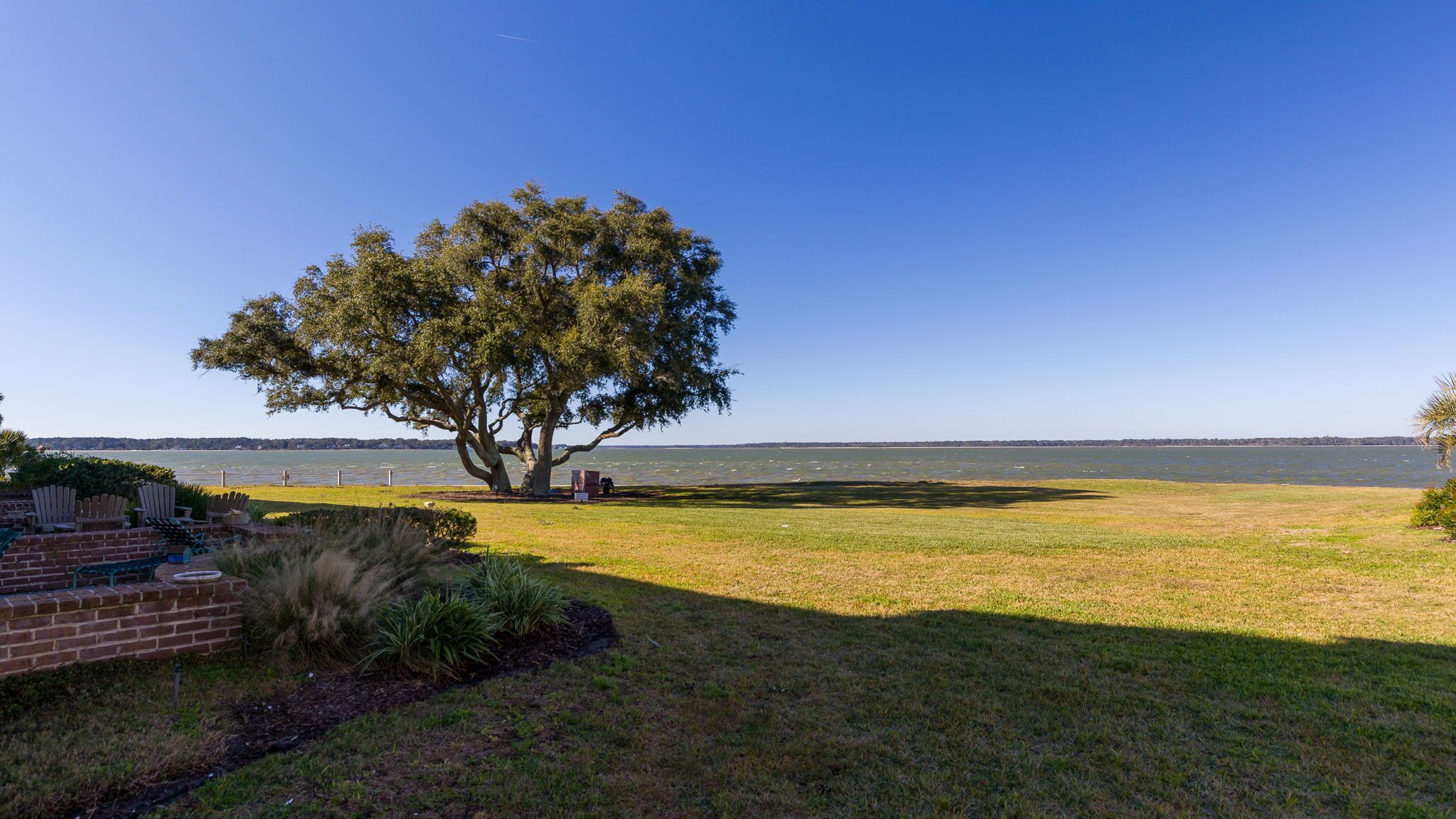 A large tree in a grassy area with a view of a body of water.