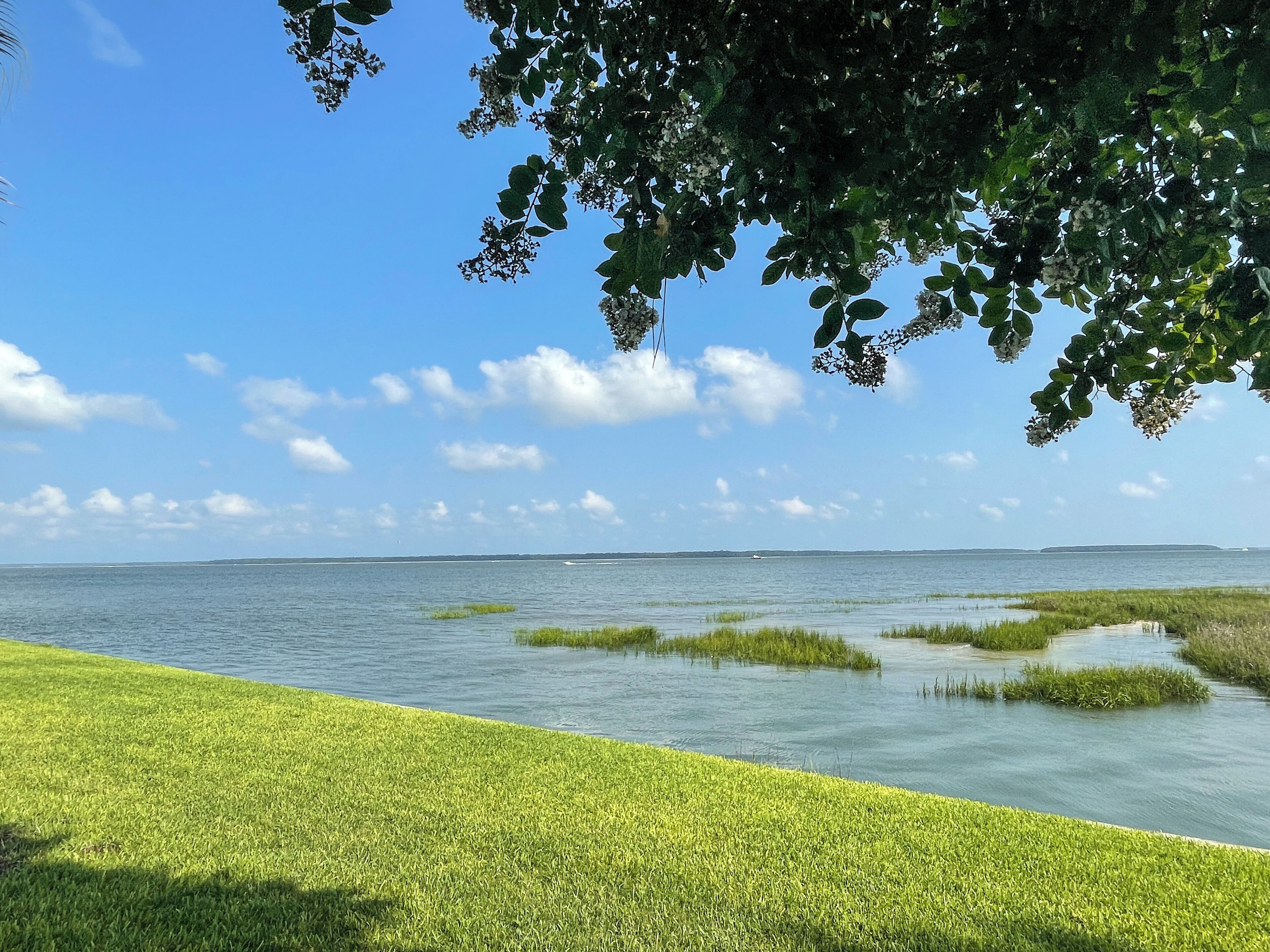 A grassy area with a body of water and a distant shoreline.