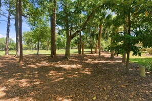A park with trees, a grassy area, and a path. - 505 Plantation Club Villas at The Sea Pines Resort (Hilton Head Island)