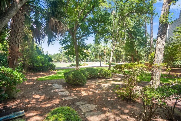 A garden pathway with a variety of trees and shrubs, leading to a grassy area with a bench. - 536 Plantation Club Villas at The Sea Pines Resort (Hilton Head Island)