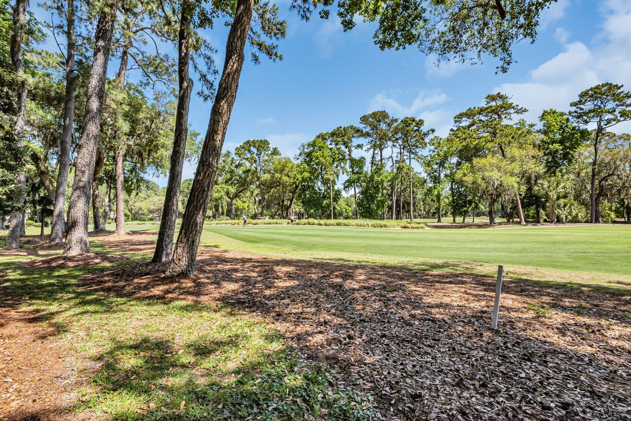 Een golfbaan met een duidelijke weg, omringd door hoge bomen en een gazon.