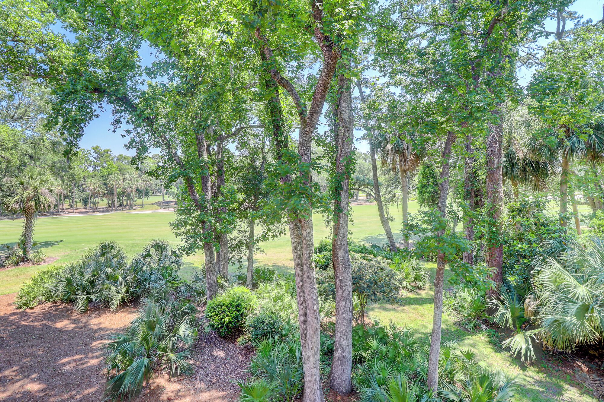 A golf course with tall trees and well-maintained grass.