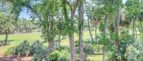 A golf course with tall trees and well-maintained grass.