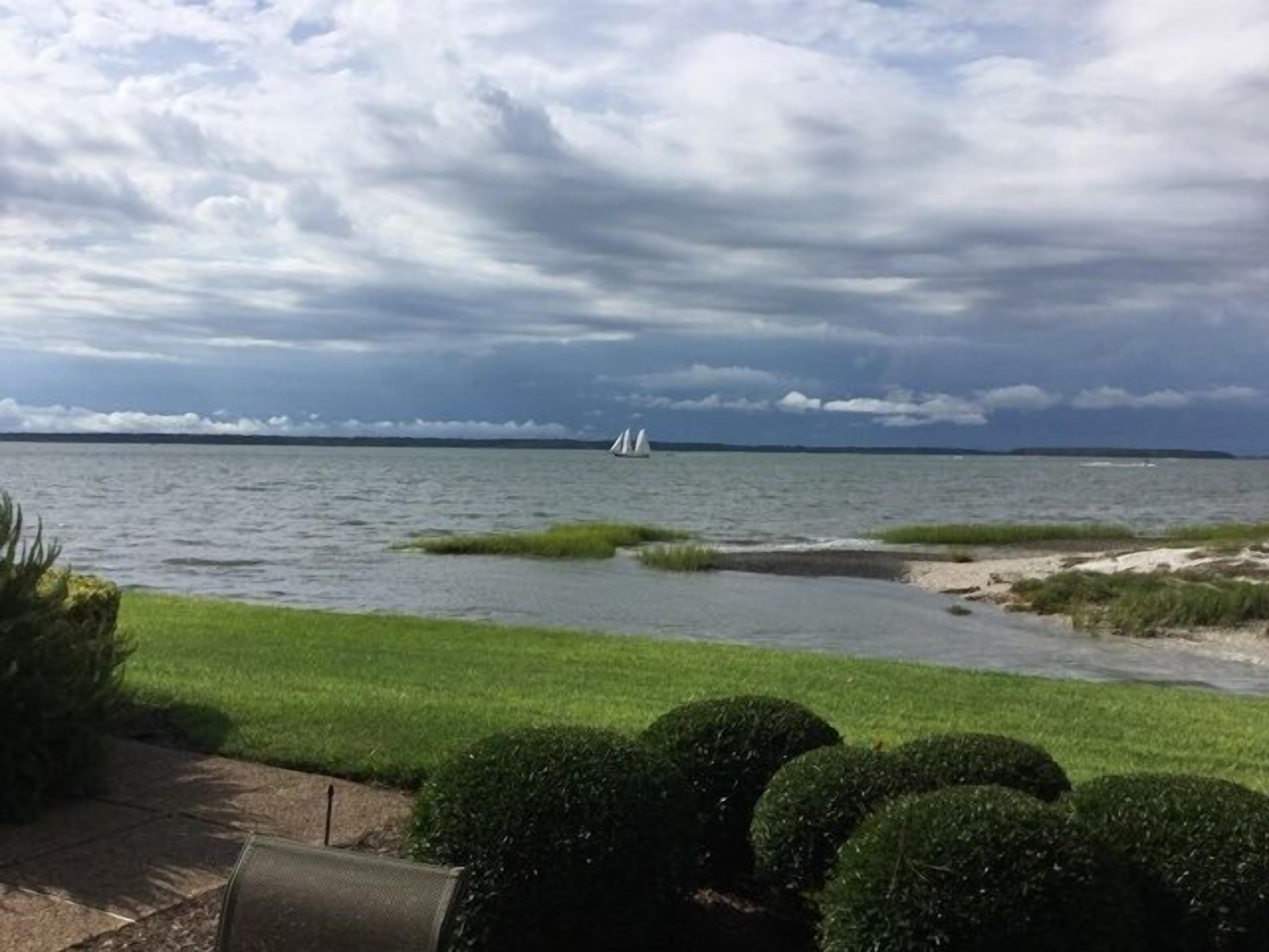 A view of a body of water with a sailboat in the distance, surrounded by grassy areas and bushes.