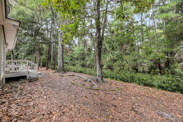 A wooden deck with a railing leading to a building, surrounded by dense forest and leaf-covered ground.