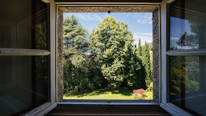A window with a view of a garden and trees.